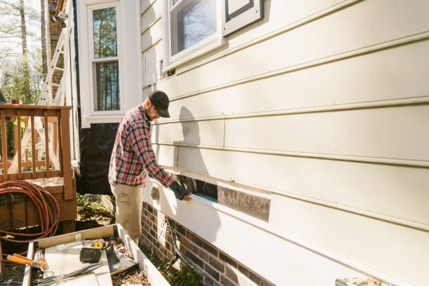 Top rated local Siding Replacement specialists in Winchester, VA